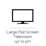Large Flat Screen Television